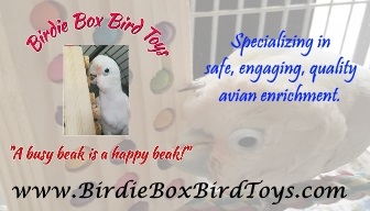 Birdie Box Bird Toys